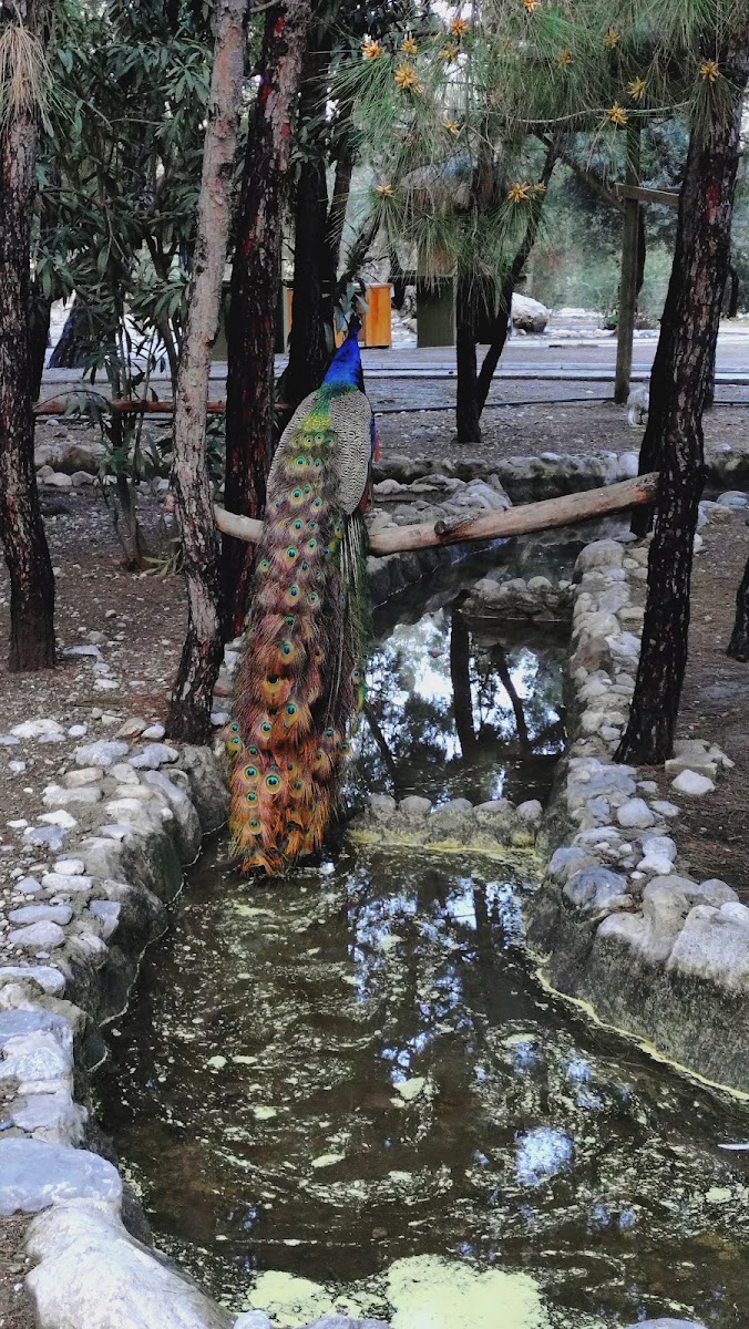 Göynük Kanyonu — fotoğraf 2