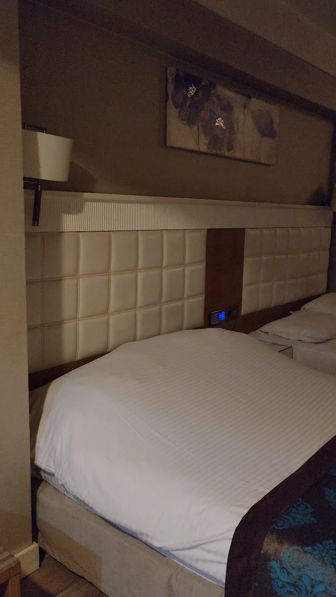 Grand Aras Otel — fotoğraf 3