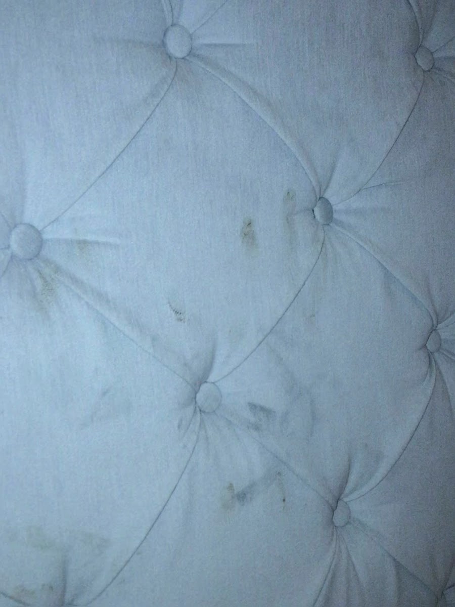 Grand Millennium Konya Hotel — fotoğraf 2