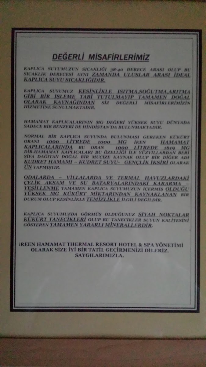 Green Hamamat Thermal Otel — photo 2