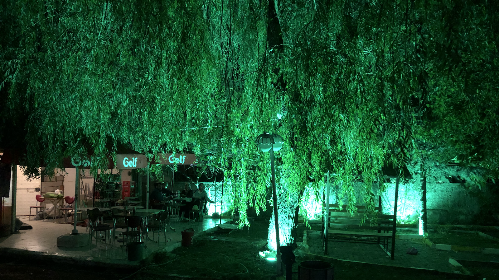 Greenwood — fotoğraf 5