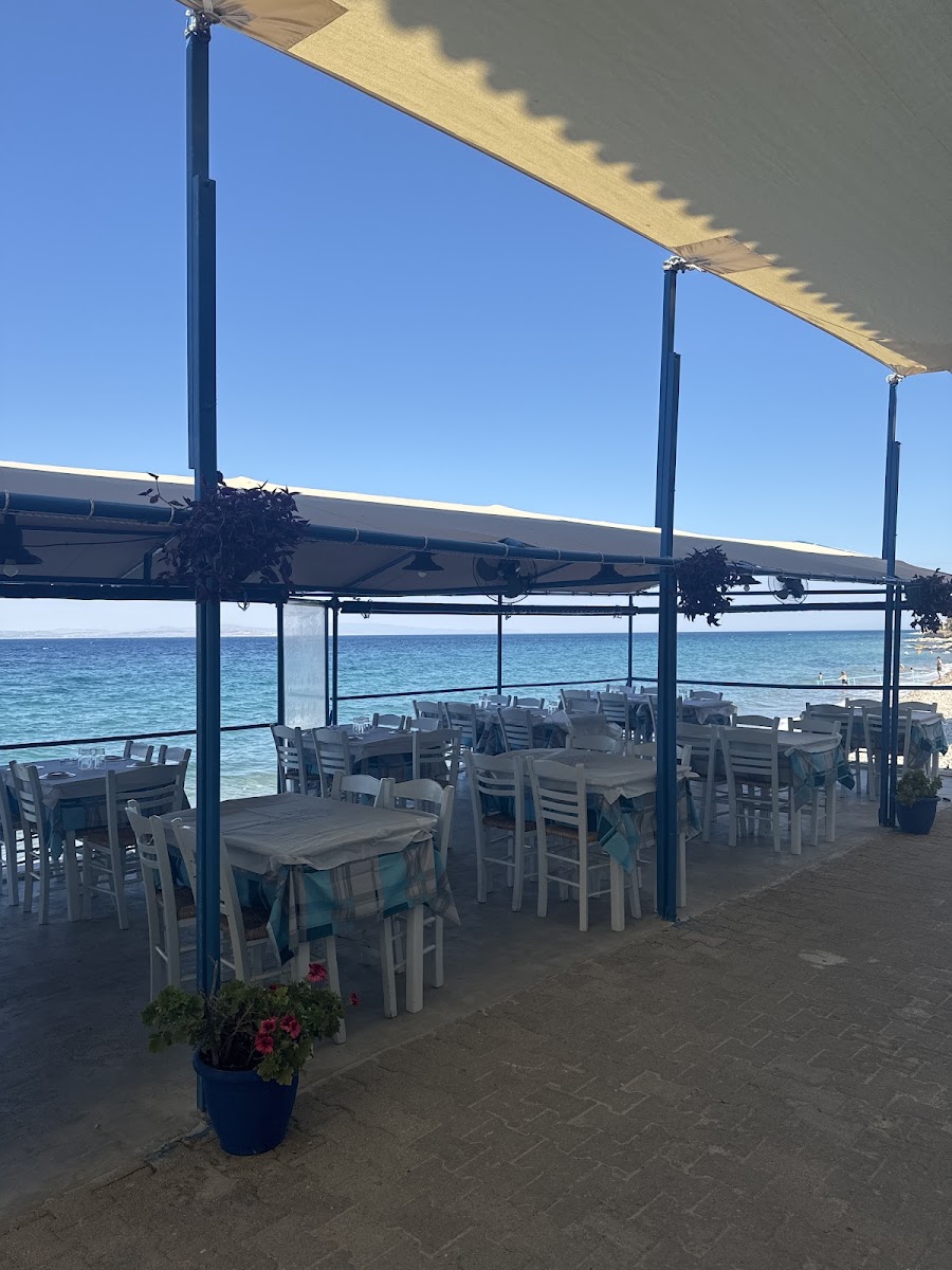 Grouper fish (Syra) \ Stavros — photo 9
