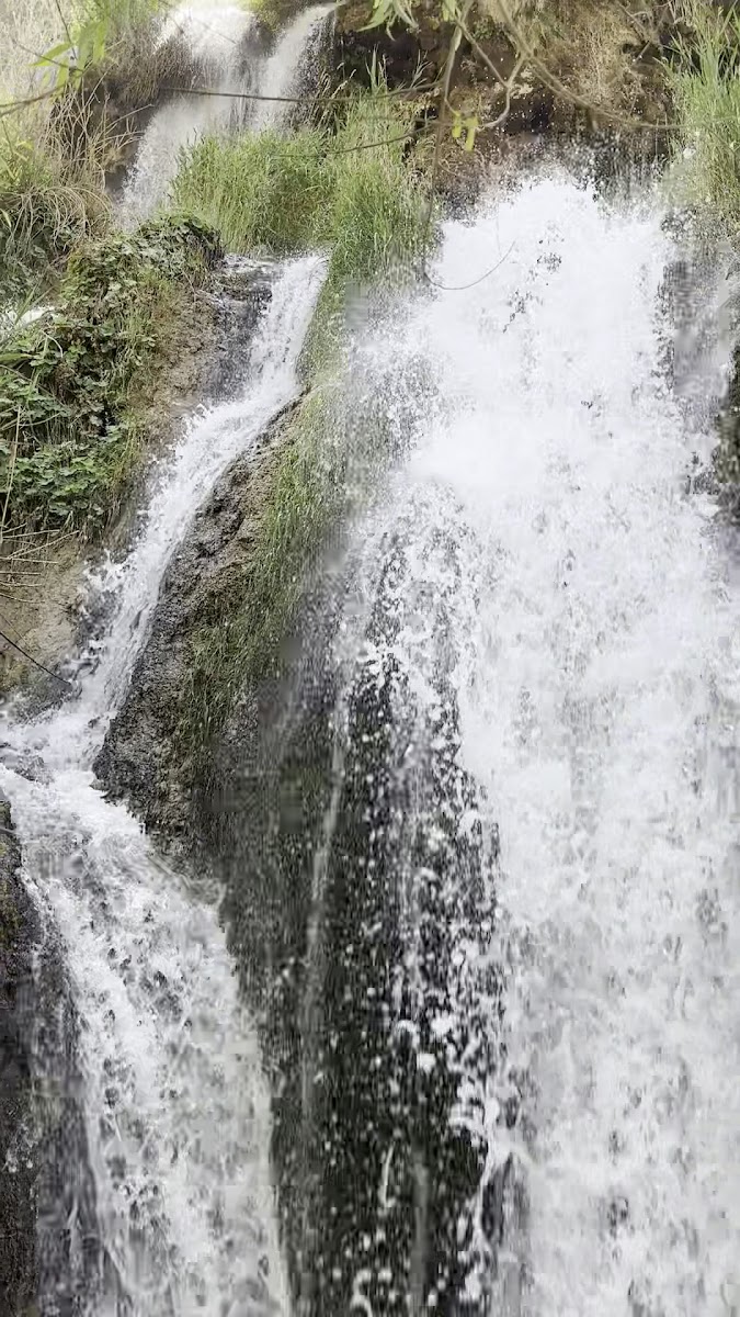 Gül Turistik Tesisleri — fotoğraf 2