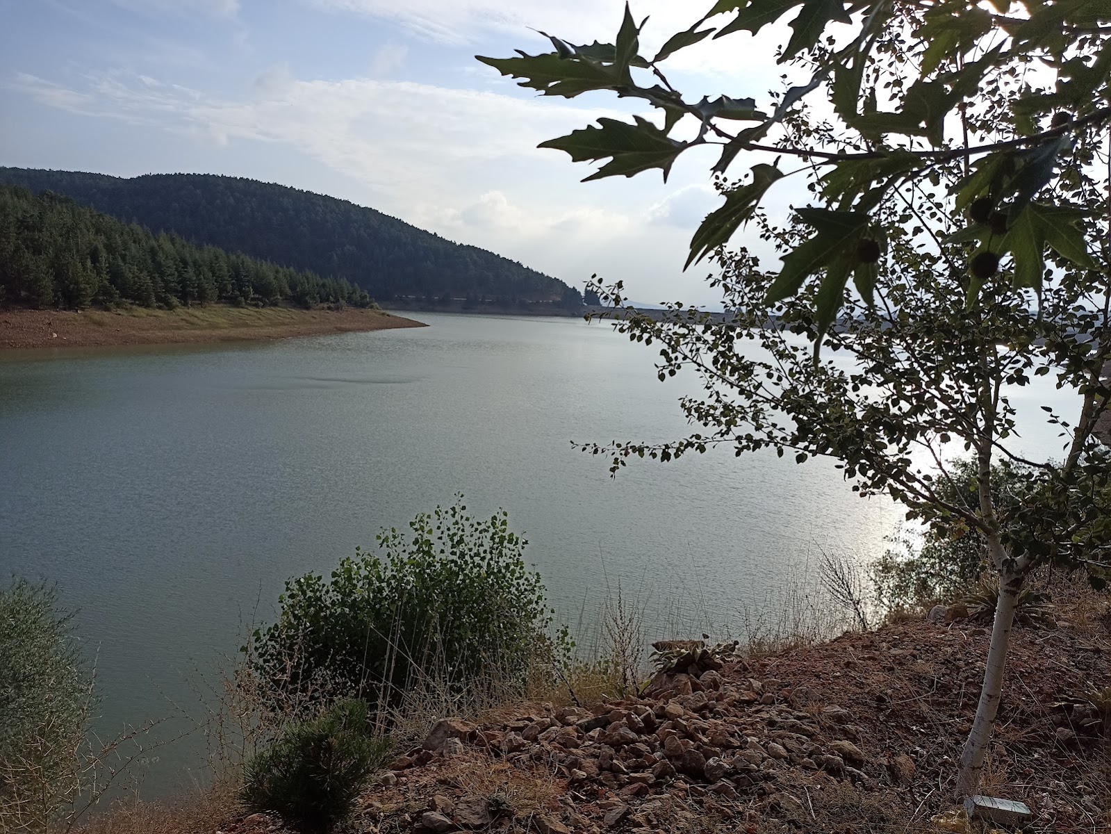 Güllüpınar piknik Alanı — photo