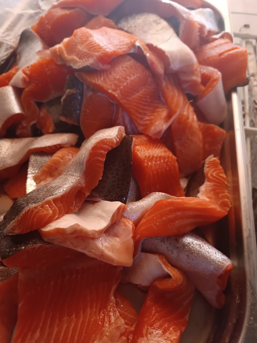 GÜLLÜSU YALÇIN AİLE BALIK LOKANTASI — fotoğraf 4