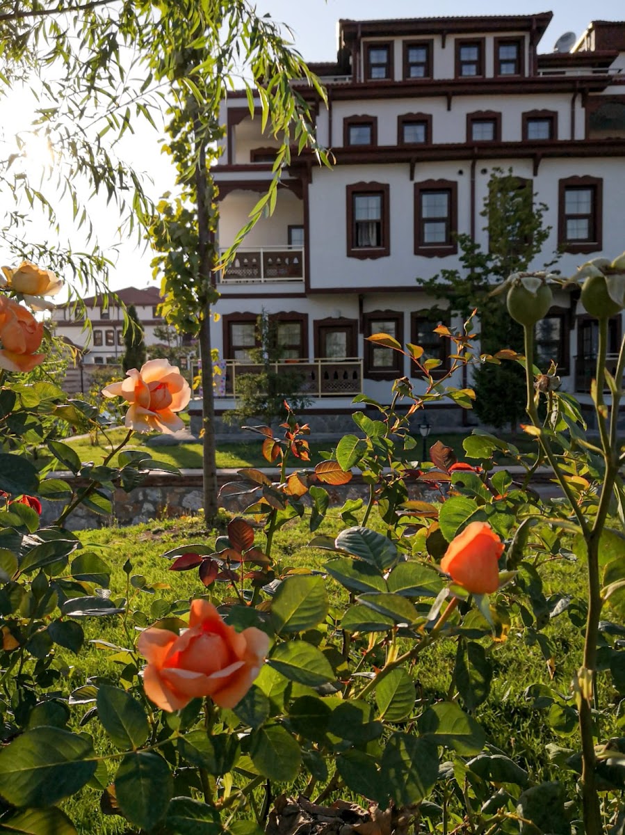 Gülümser Hatun Termal Otel & SPA — fotoğraf 5
