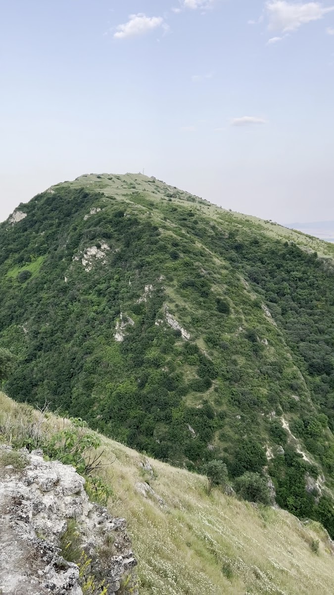Gulustan Tower — photo 3