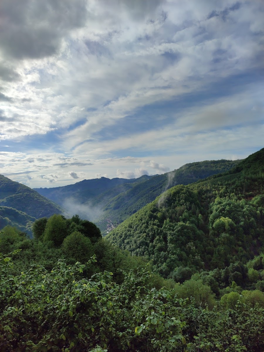 Gümeli Tabiat Anıtı — fotoğraf 2