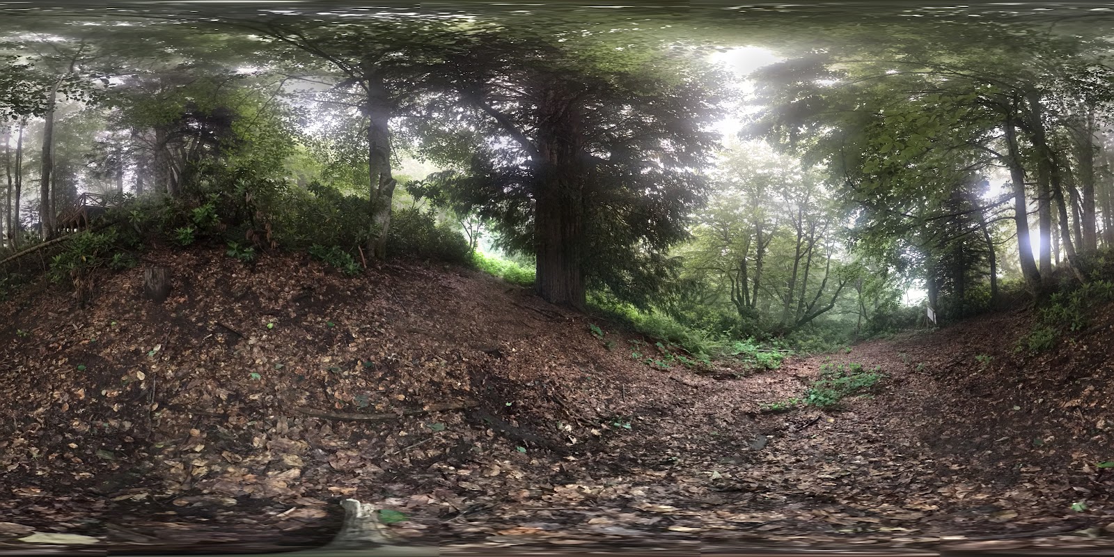 Gümeli Tabiat Anıtı — fotoğraf 5