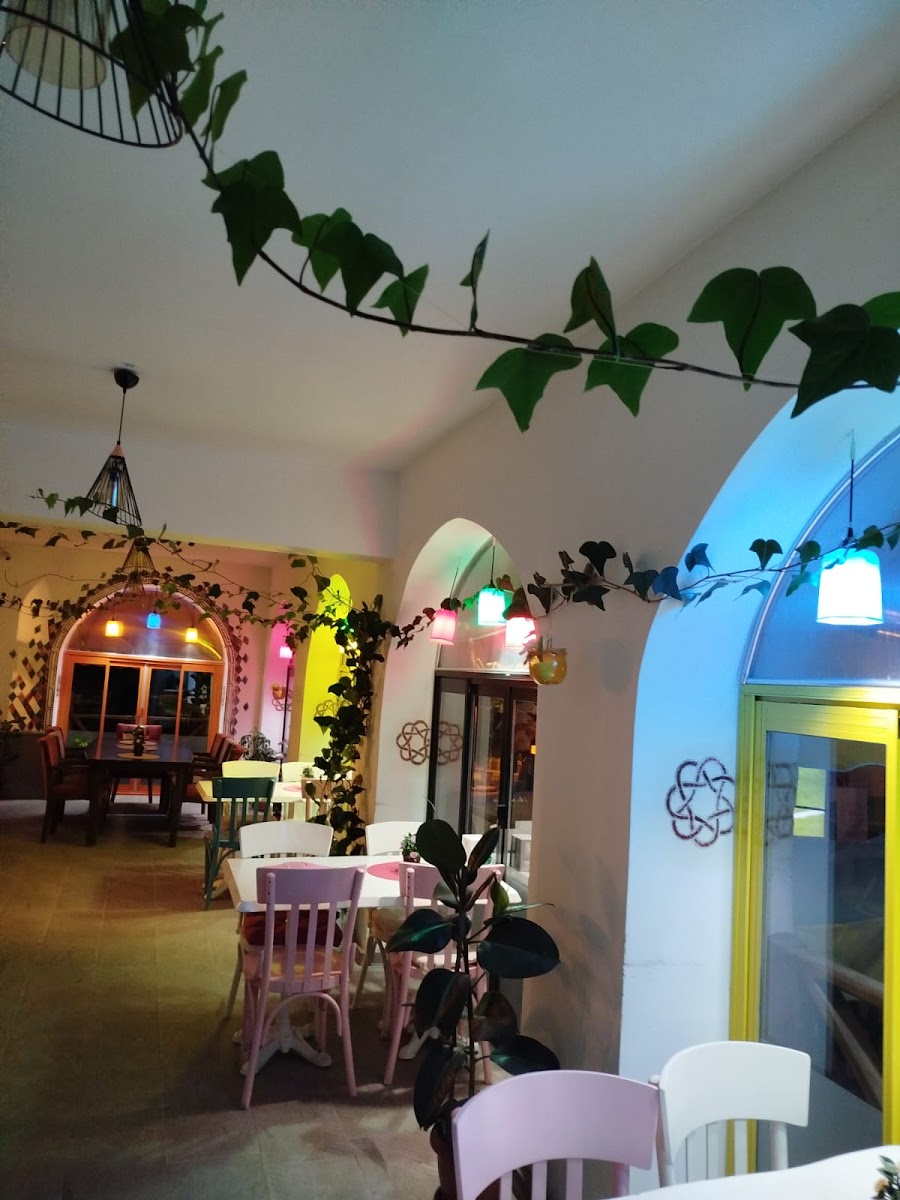 Gümüş Sini Organik Kahvaltı Salonu — fotoğraf 1