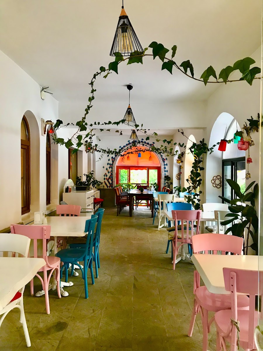 Gümüş Sini Organik Kahvaltı Salonu — fotoğraf 5
