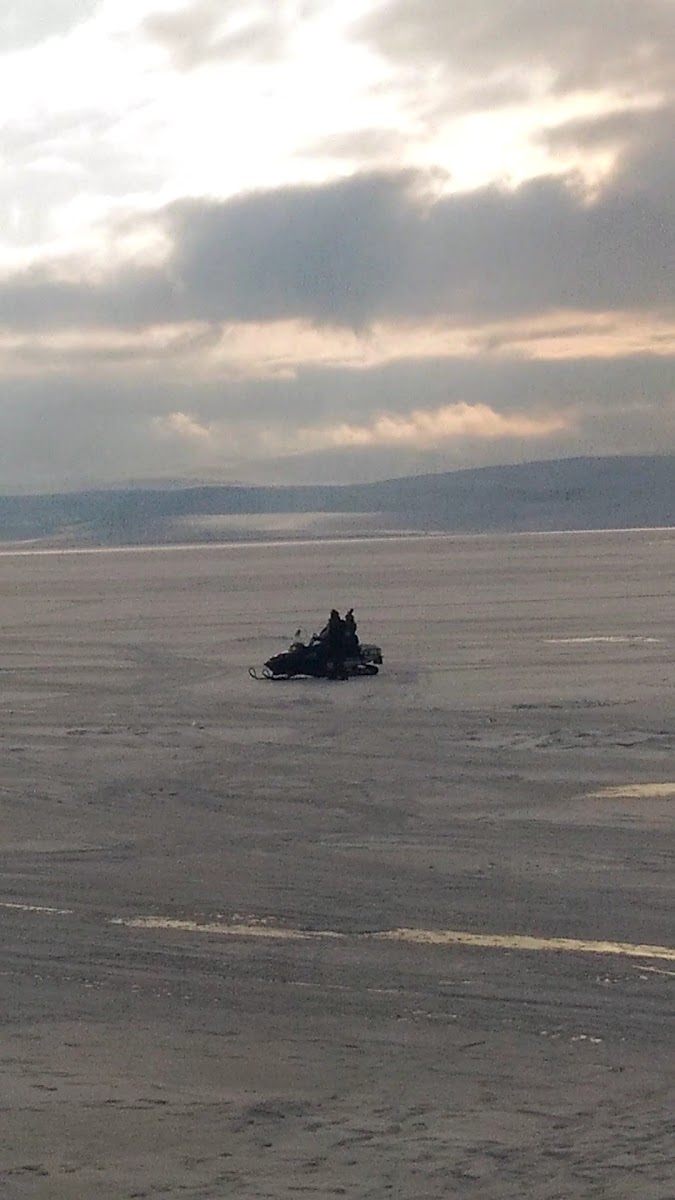 Günayın Yeri Çıldır Gölü Kamp & Canlı Alabalık Restoran — fotoğraf 3