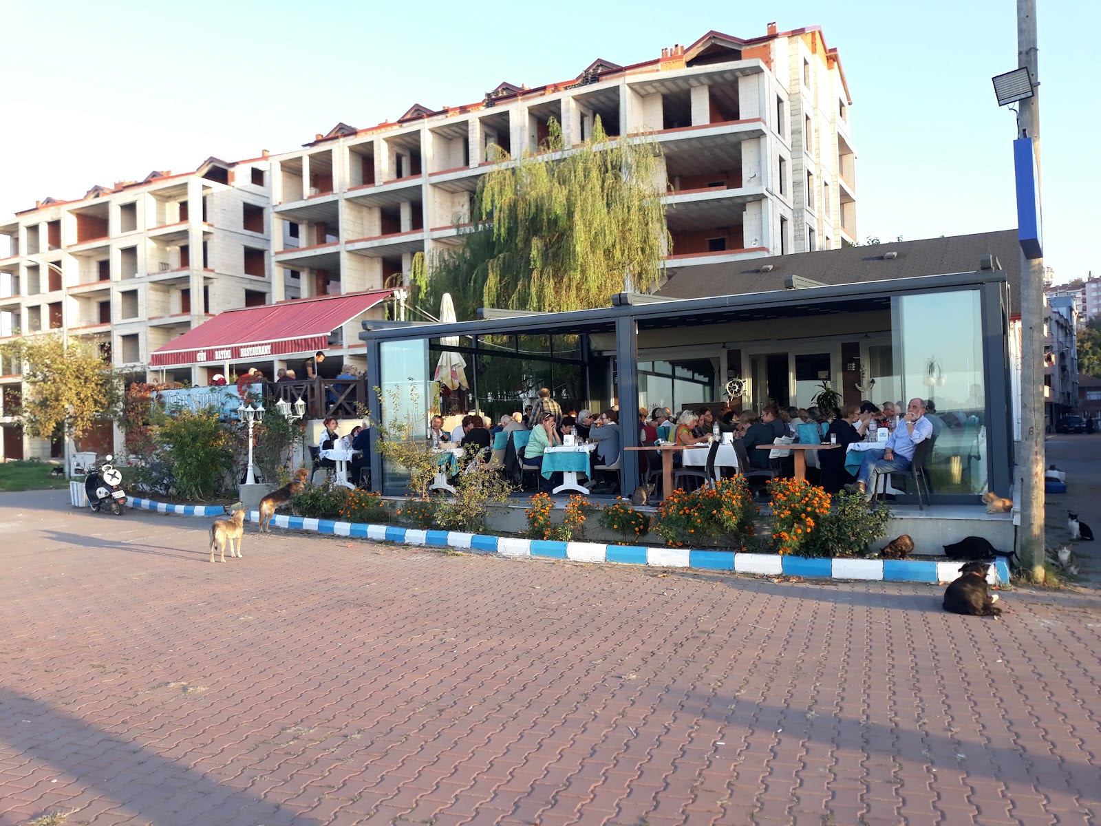 Günbatımı Balık Restaurant — fotoğraf 6