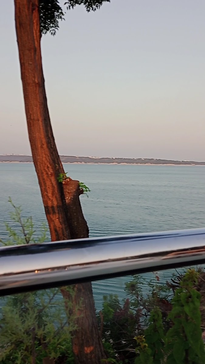 Güney Marina — photo 3