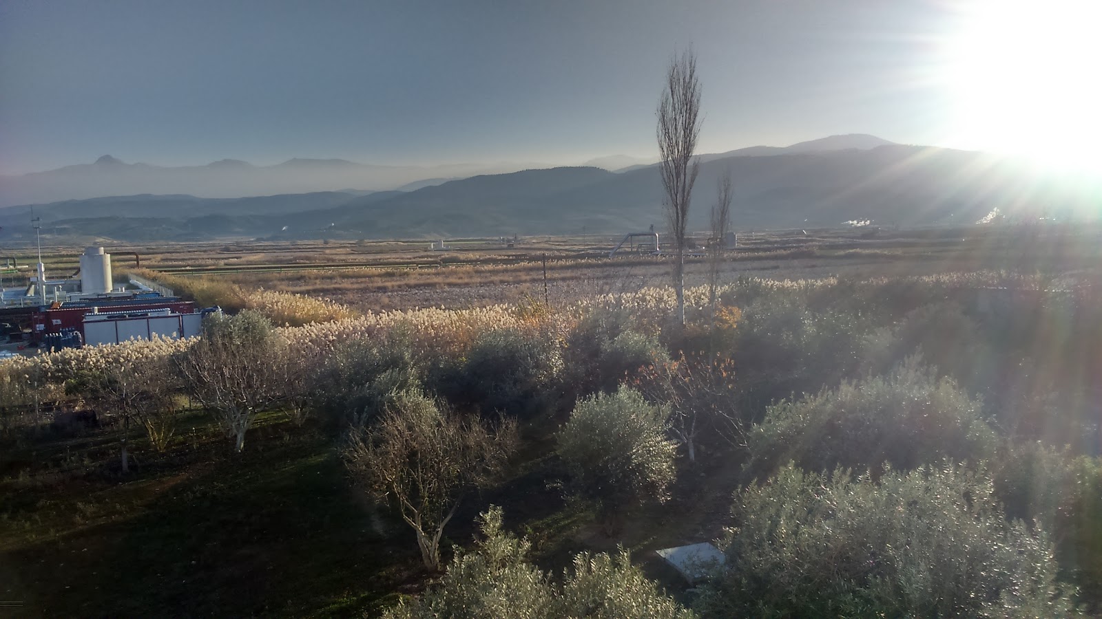 Güney Termal Otel&SPA — fotoğraf 7