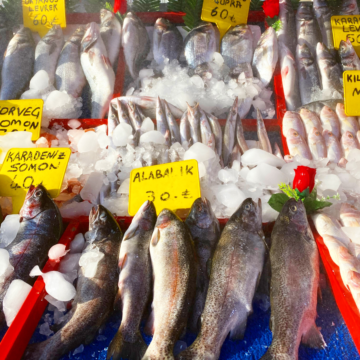 Güneykent Balıkcısı — fotoğraf 4