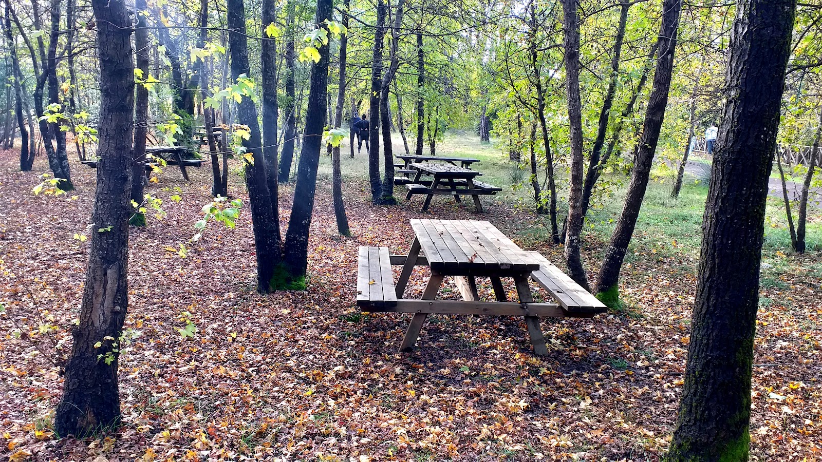 Günnücek (Marmaris Milli Parkı) — fotoğraf 1