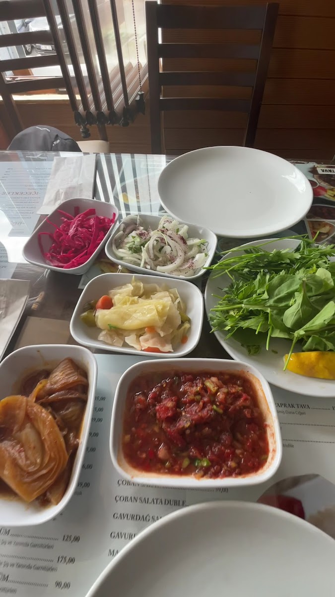 Gurbet Ciğer — fotoğraf 3