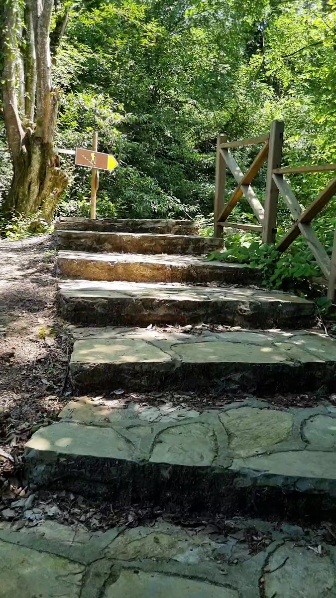 Gürcüoluk Mağarası Tabiat Parkı — fotoğraf 2