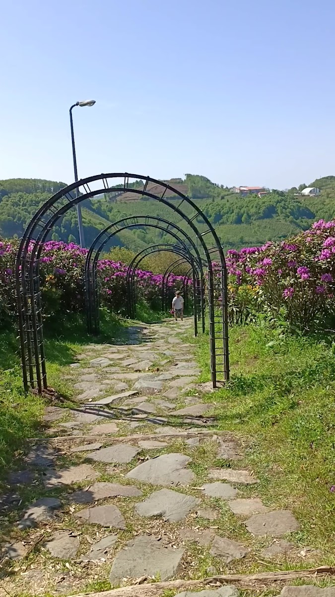 Gürgentepe belediyesi sosyal tesisleri — photo 3