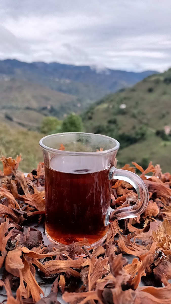 Gürgentepe — photo