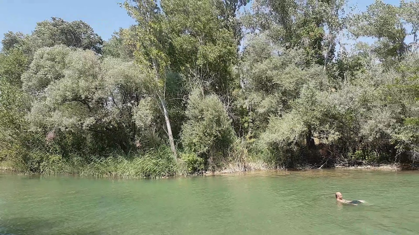 Gürgül Aile Çaybahçesi — fotoğraf 3