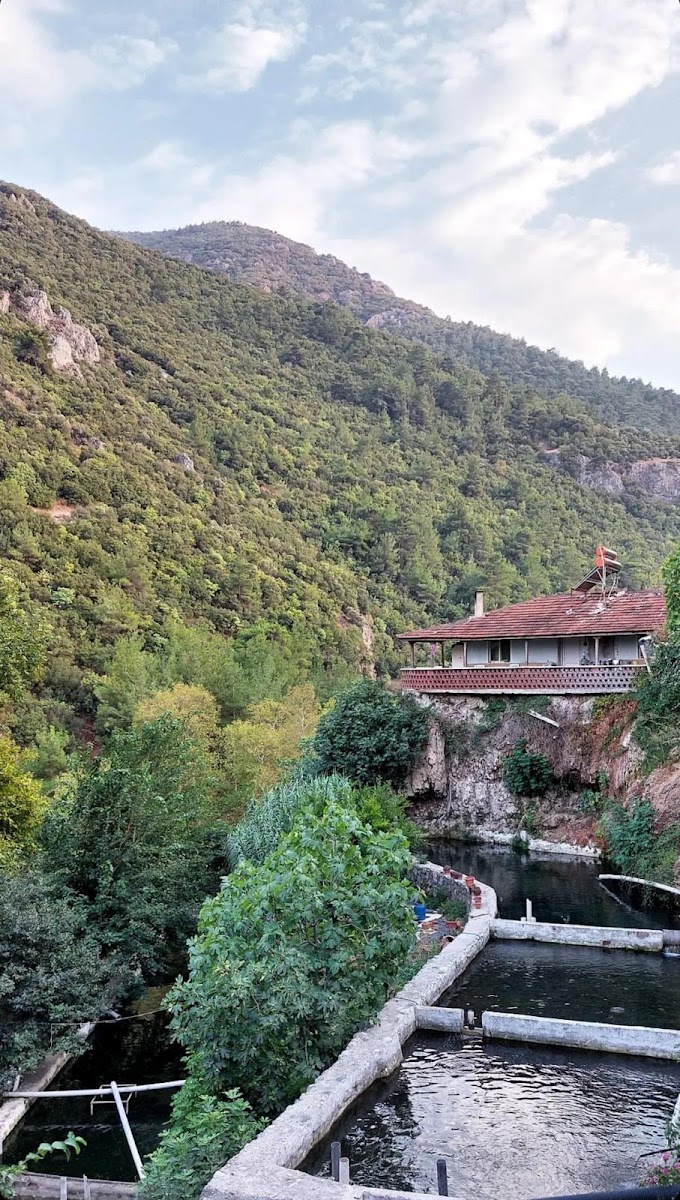 gürle alabalık çiftliği — fotoğraf 9