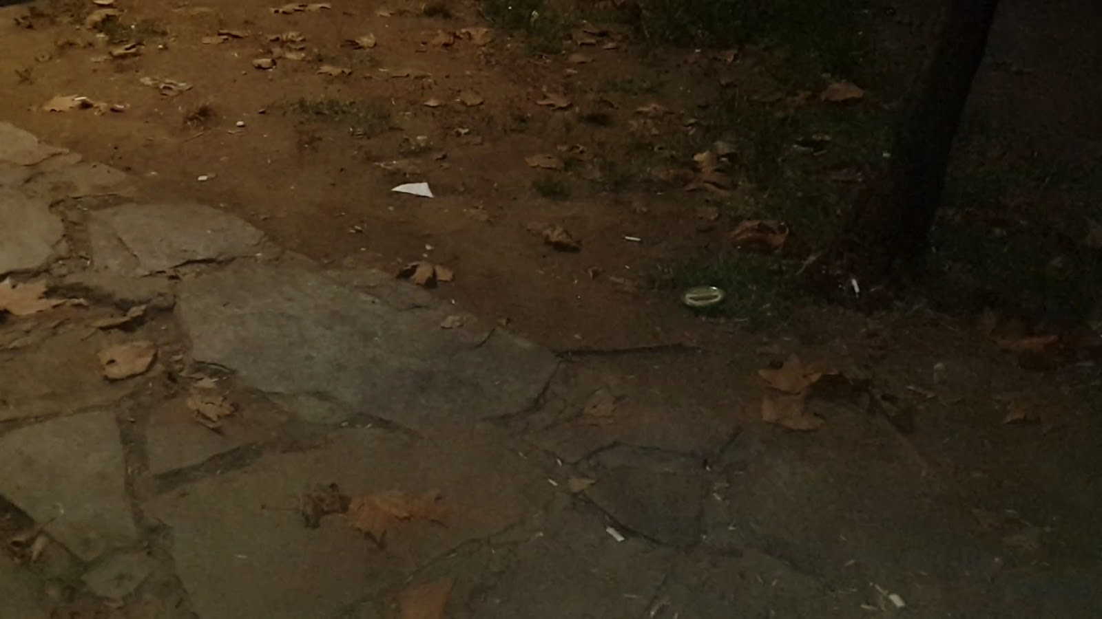 Gürsü Erguvan Parkı — photo 2