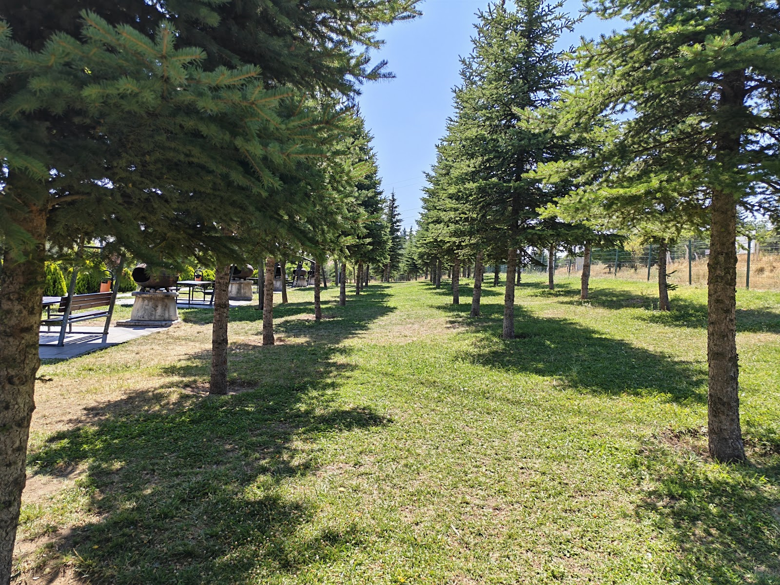 Güzelhisar Mesire Alanı — photo 2