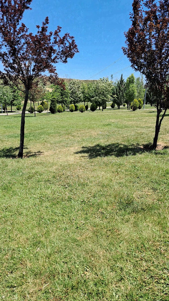 Güzelhisar Mesire Alanı — photo 5