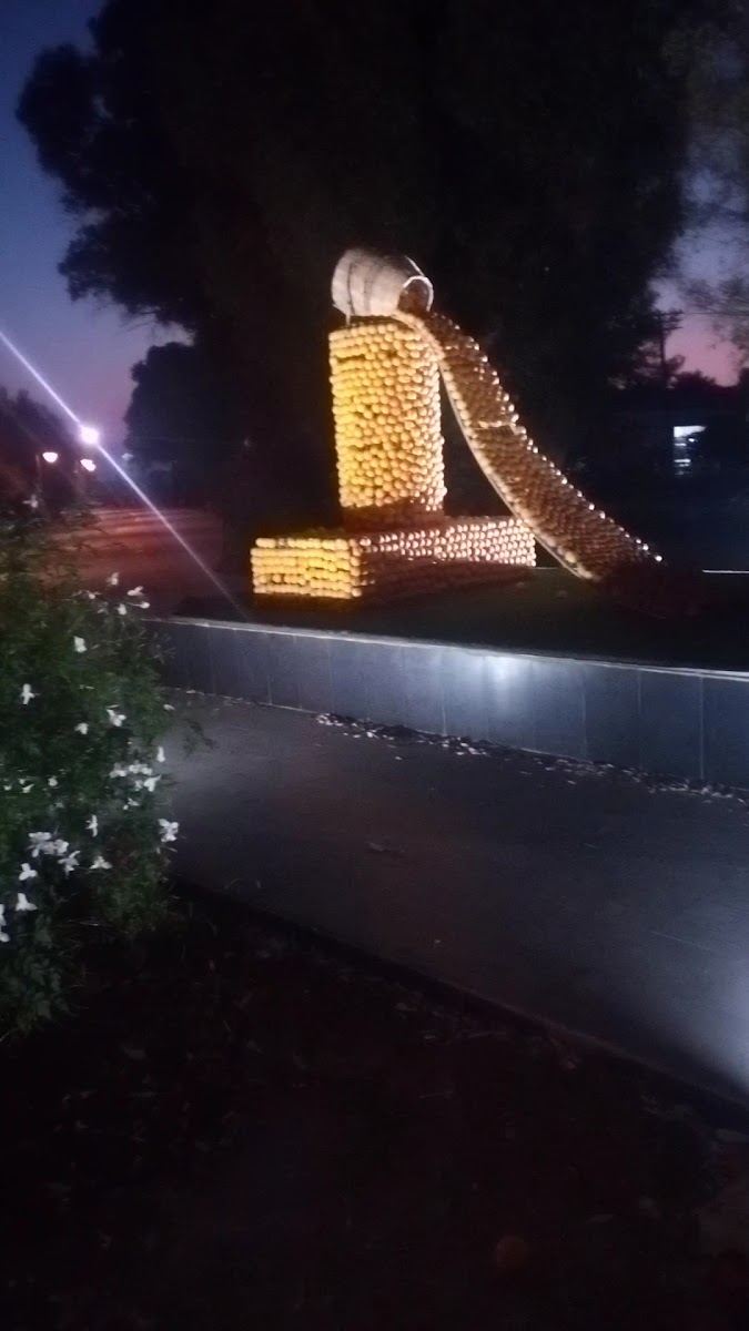 Güzelyurt Belediye Festival Parkı — photo 3