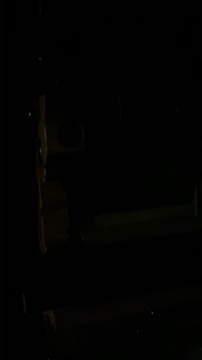 Habiboğlu restorant — fotoğraf 3