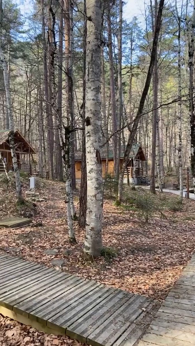 Habitat Mesire Yerleri — fotoğraf 5