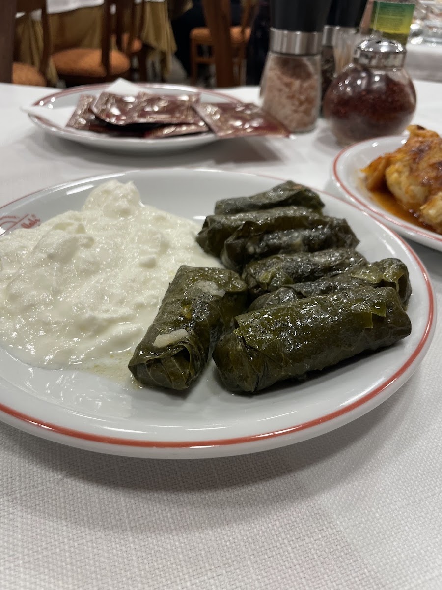Hacı Abdullah Lokantası — photo 11