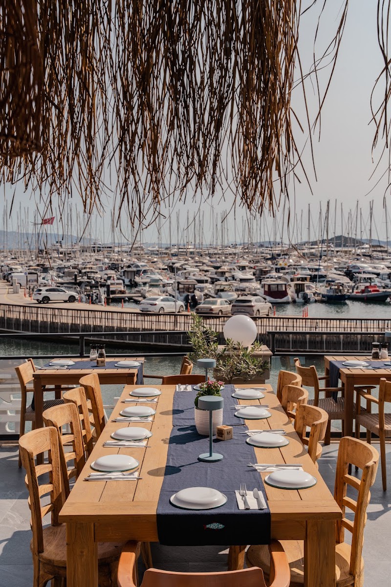 Hadi Balık — fotoğraf 1