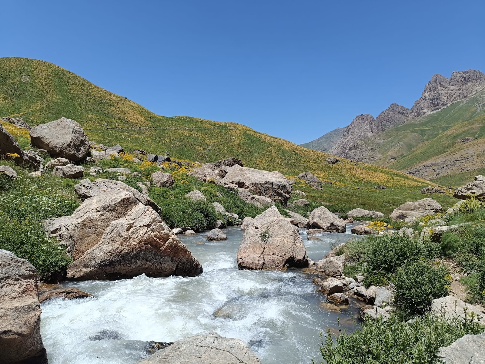 Cilo ve Sat Dağları Milli Parkı Cilo Buzulları — fotoğraf 2
