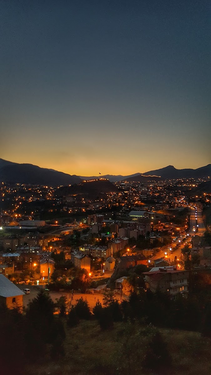 Hakkari Kent Ormanı — fotoğraf 2