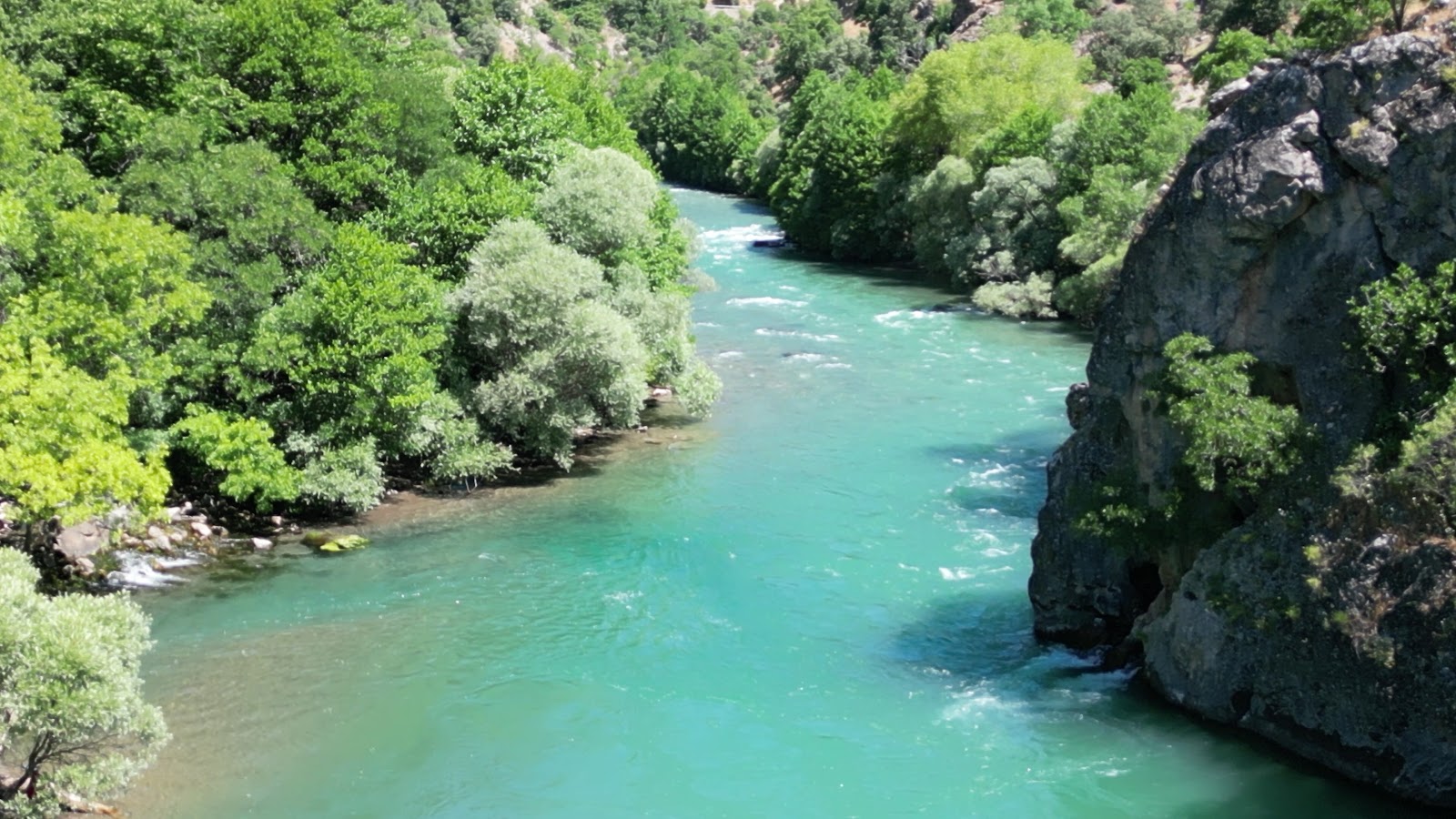 Halbori Gözeleri — fotoğraf 3