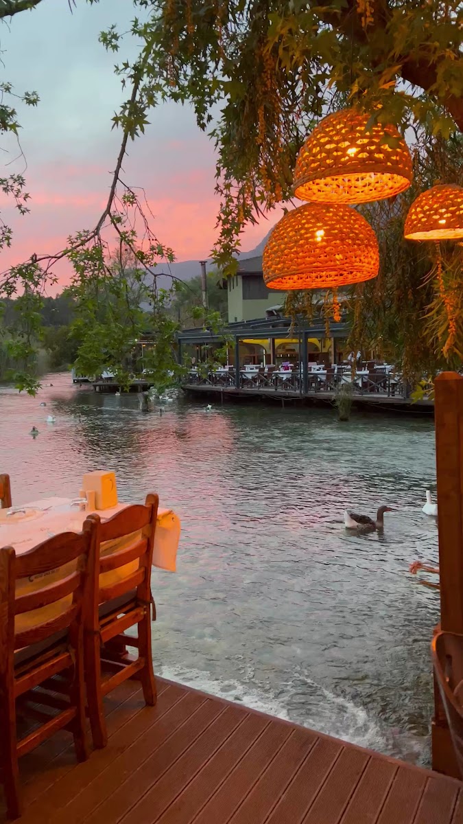 Halil'in Yeri — photo 11