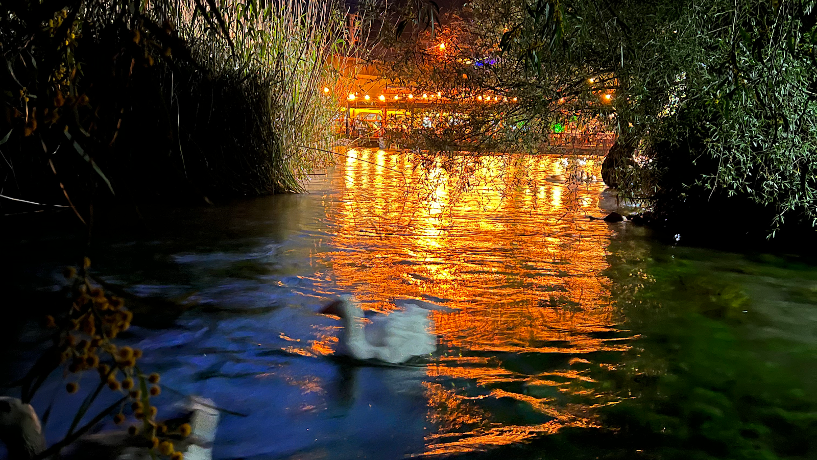 Halil'in Yeri — fotoğraf 10