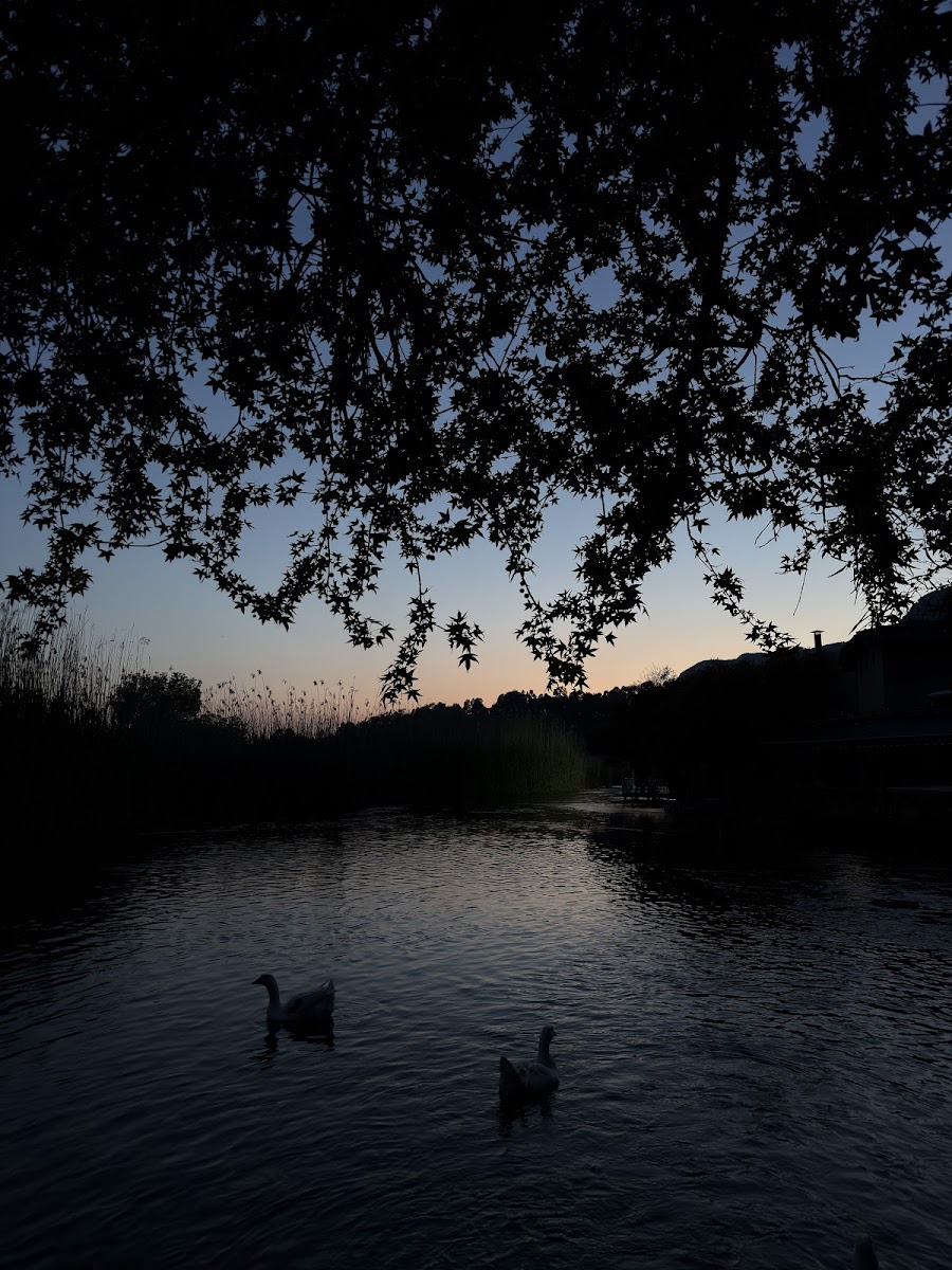 Halil'in Yeri — fotoğraf 2
