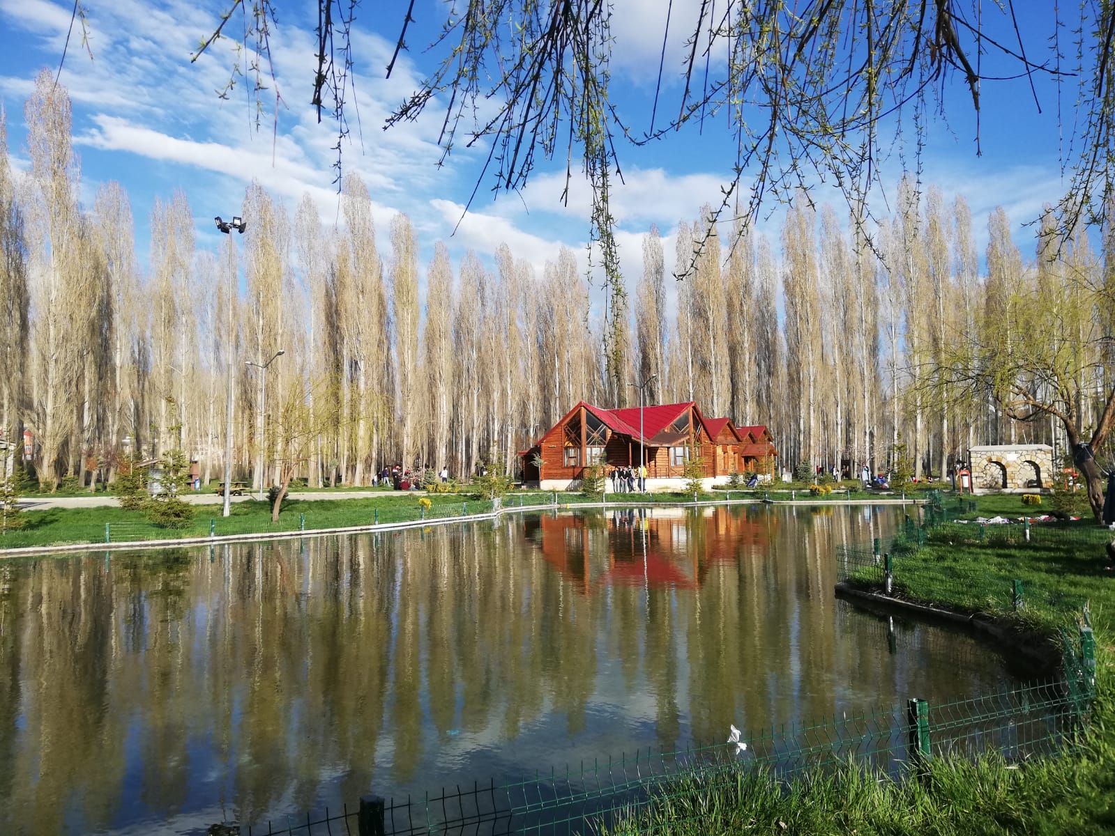 Halis Bayramoğlu Hatıra Ormanı — fotoğraf 1