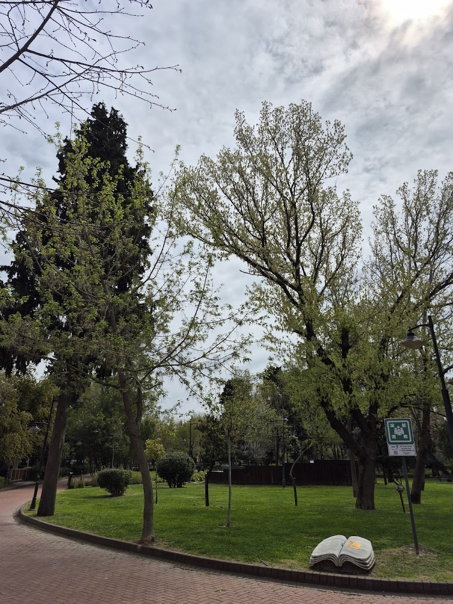 Halk Bahçesi — fotoğraf 2