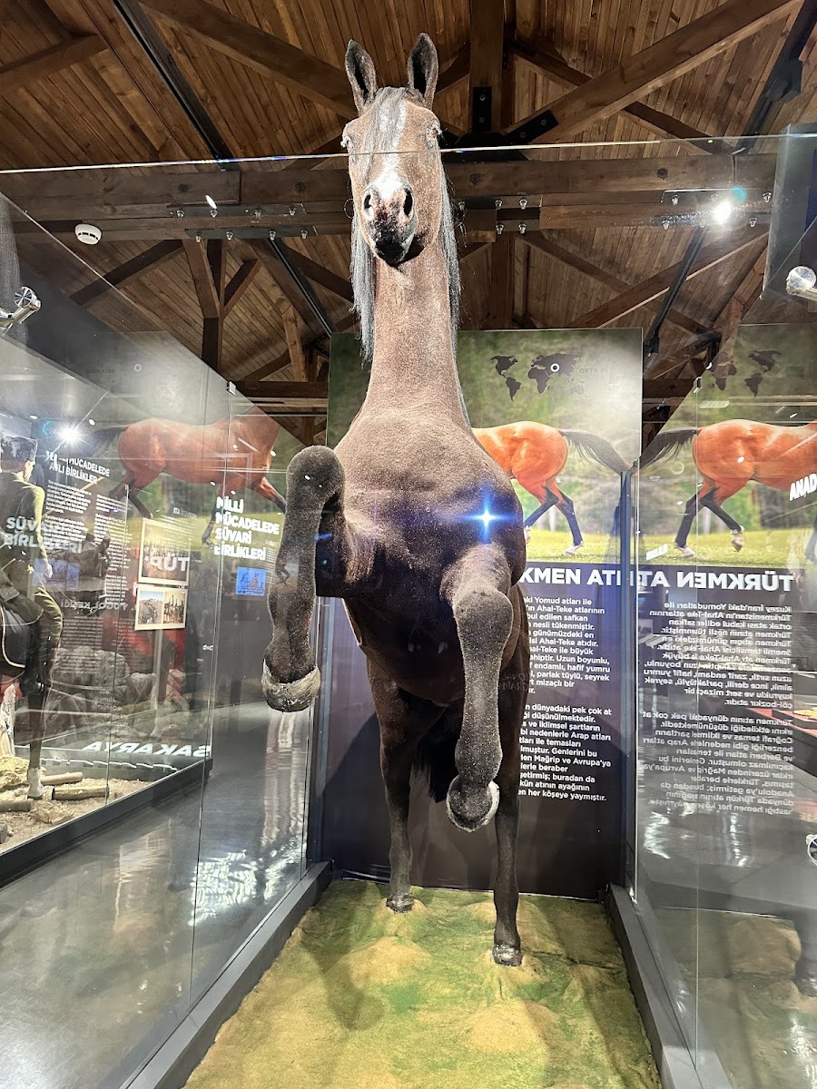 Hamidiye Millet Bahçesi — fotoğraf 1