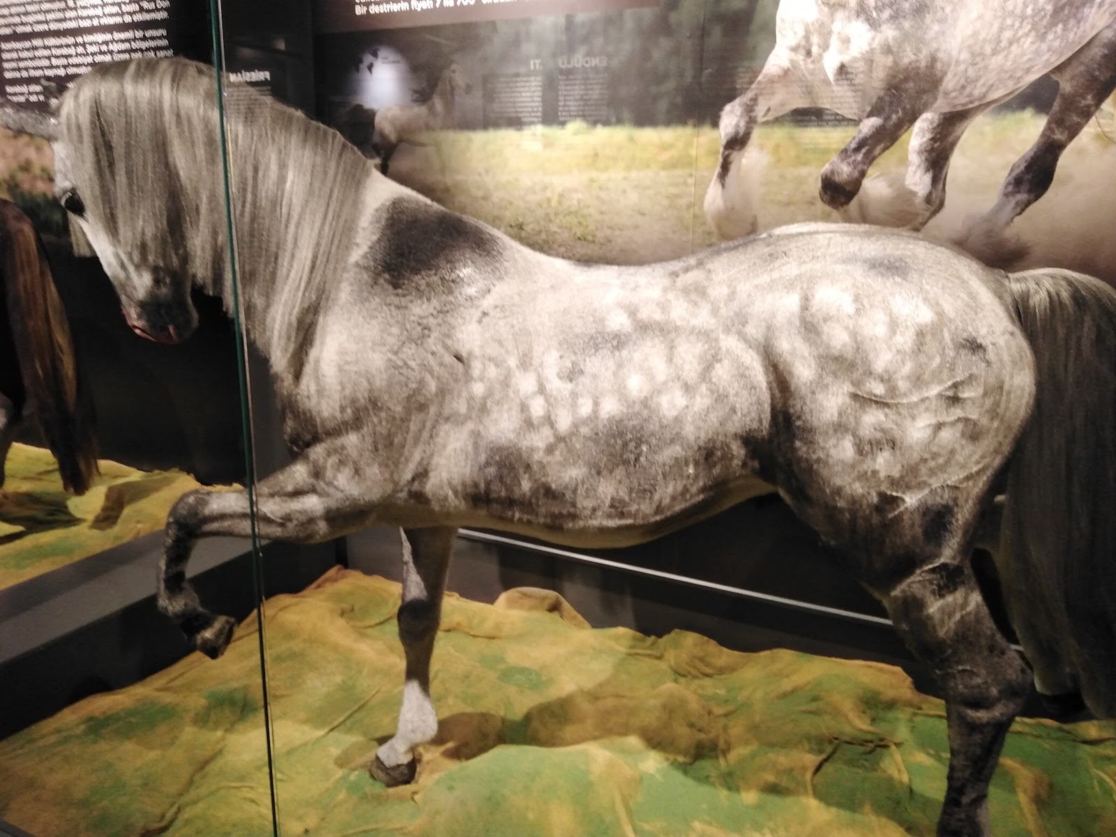 Hamidiye Millet Bahçesi — fotoğraf 2