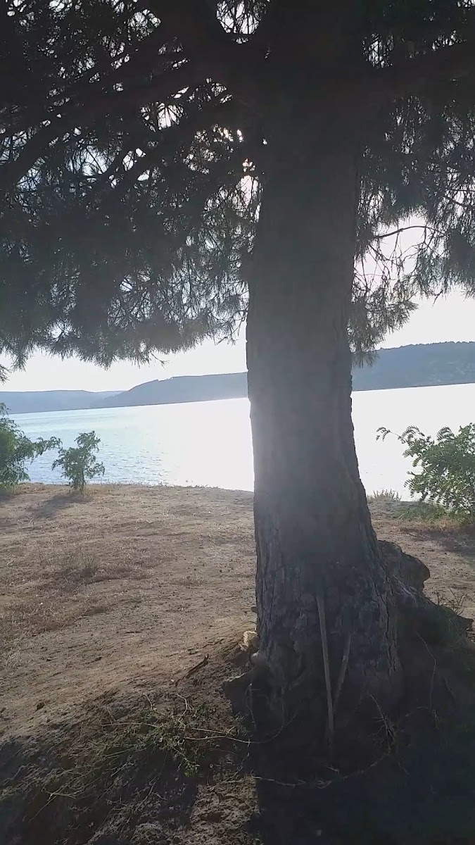 Hamidiye Tabyası Parkı Müzesi — fotoğraf 3