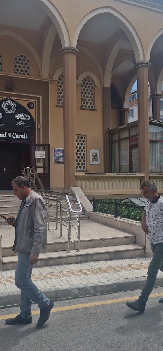 Hamit Cami — fotoğraf 2