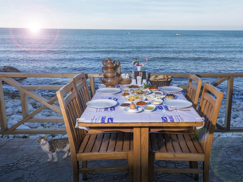 Hamsi Balık Lokantası-Akçakoca — fotoğraf 5