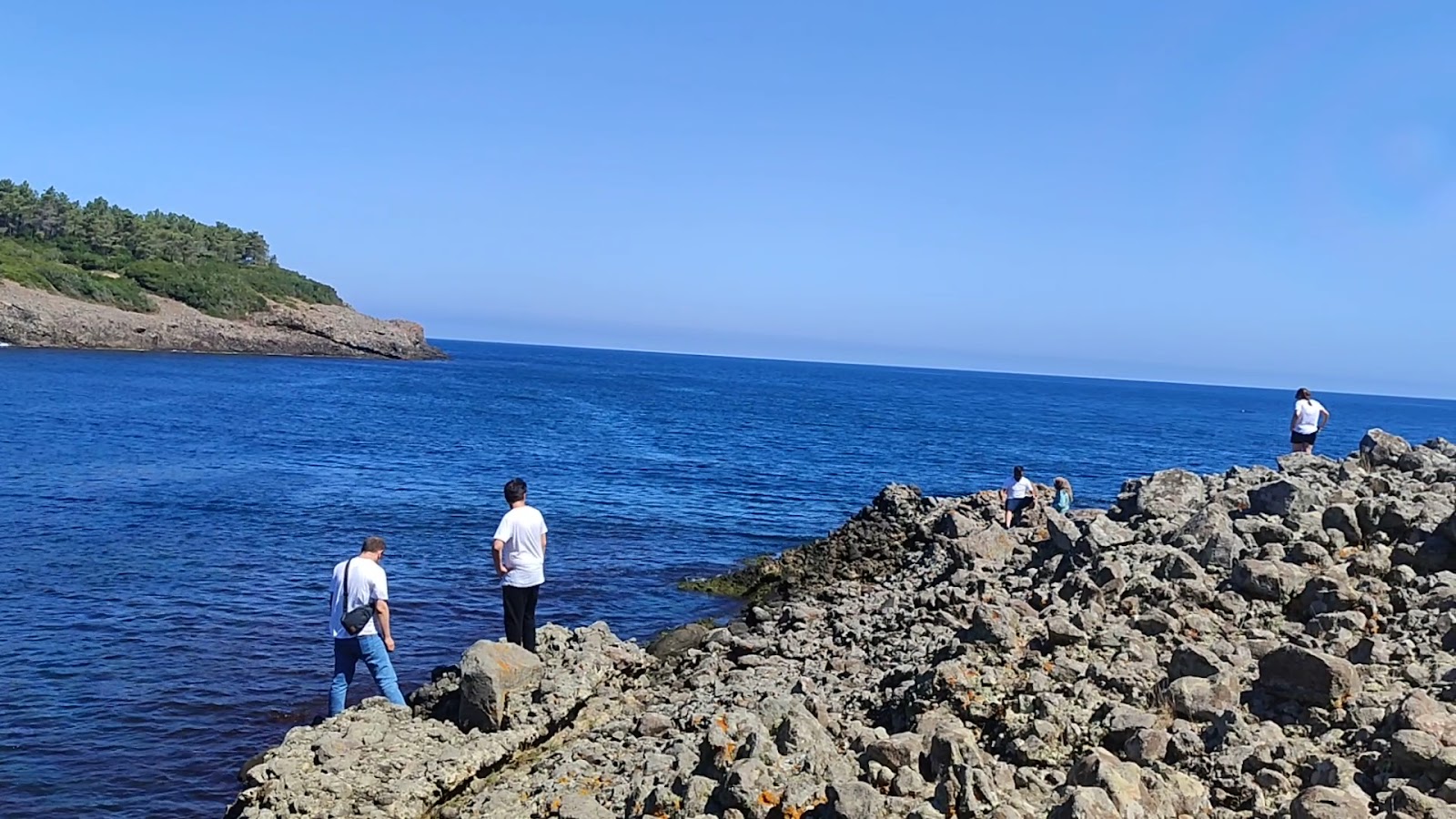 Hamsilos Koyu — fotoğraf 3