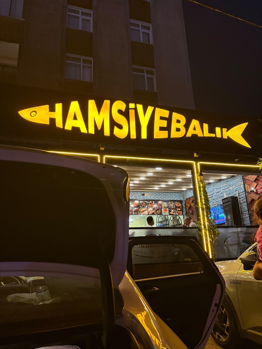 Hamsiye balık — photo 2